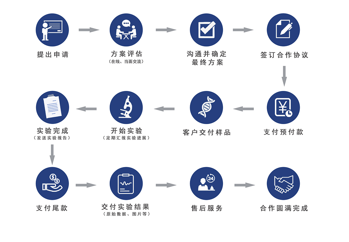 ����Ƽ���������